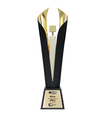 INDIAA AWARDS Trophy